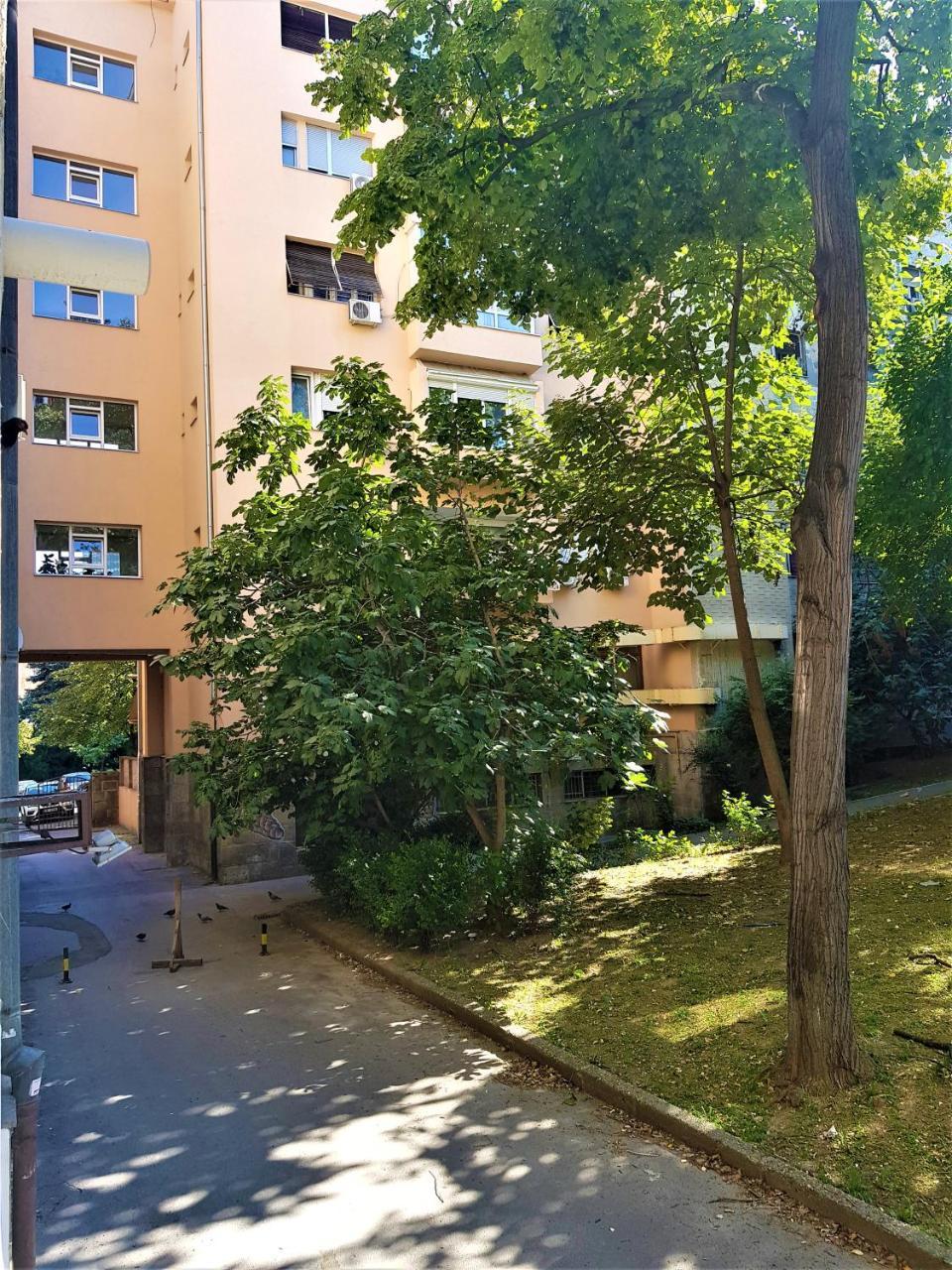 Asya Blue Studio Belgrad Exterior foto